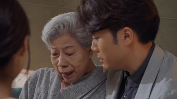 金式森林線上看｜1-25集大結局TVB全劇透！每集劇情預告即時更新