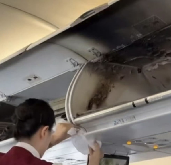 國航客機充電器空中自燃(圖片: 微博)