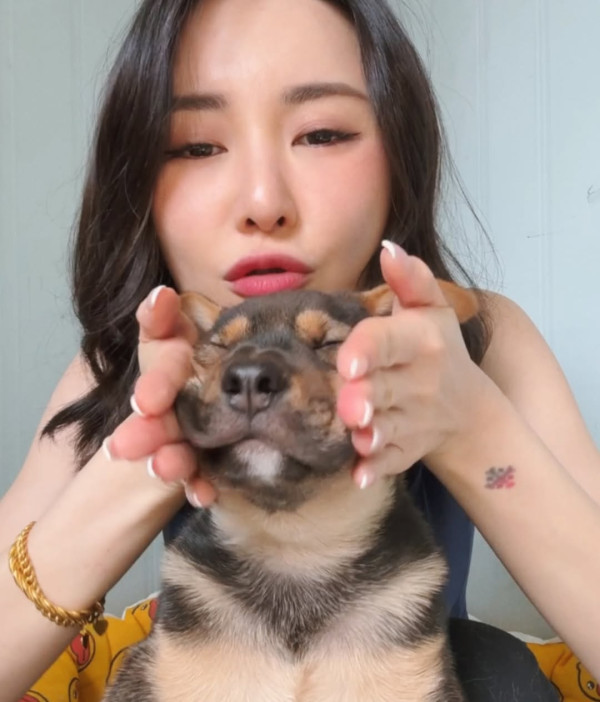 圖片來源：IG@wadahiromi