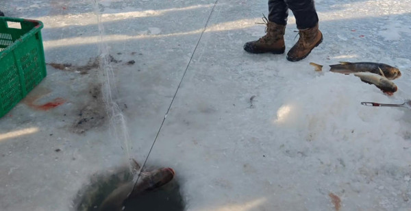 （圖片來源：小紅書）