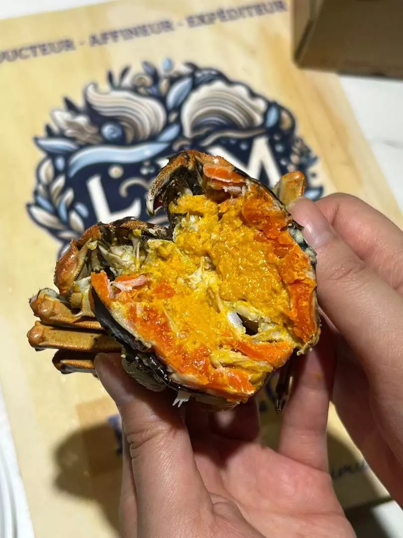 江蘇直送大閘蟹買一送一 膏香黃濃低至$49隻／即搶41折精品蟹福袋