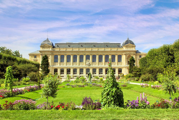 中國女涉盜巴黎博物館6公斤黃金被捕 部分內地網民竟支持犯案偷得有理 