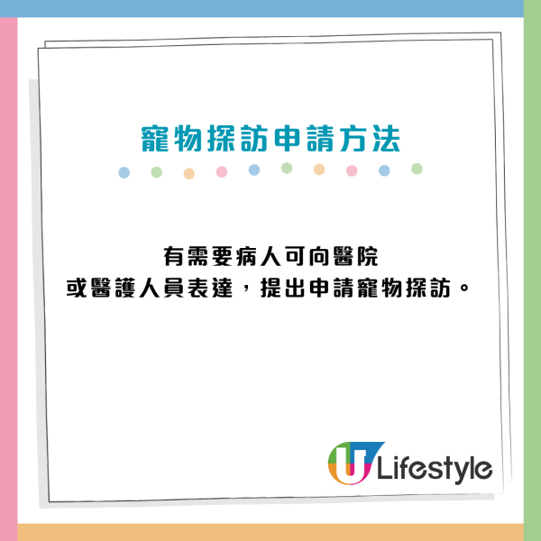 醫管局推寵物探訪！准長期住院/臨終病人與寵物「最後告別」可申請與毛孩相聚圓心願