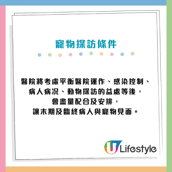 醫管局推寵物探訪！准長期住院/臨終病人與寵物「最後告別」可申請與毛孩相聚圓心願
