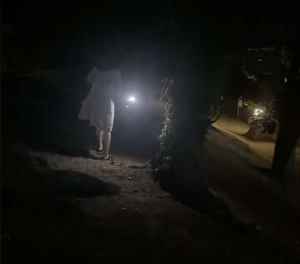 內地遊客攻日本公園挖蟬蛹尋下酒菜！日本人震驚：太可怕了蟬怎可以吃 