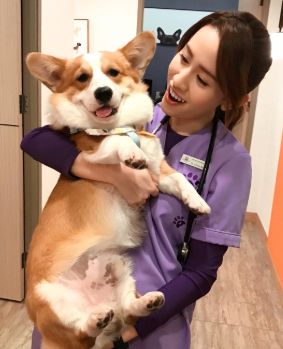 圖片來源:IG@katerina.leung