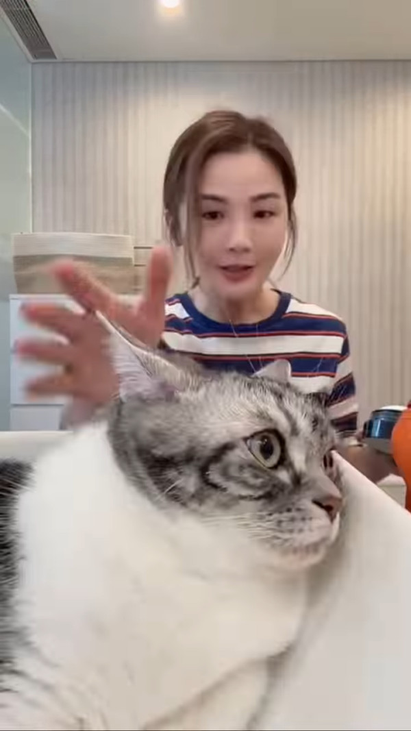 蔡卓妍阿Sa大仔大女生日IG貼全家福慶生 驚爆已為人母真正身份嚇窒網民