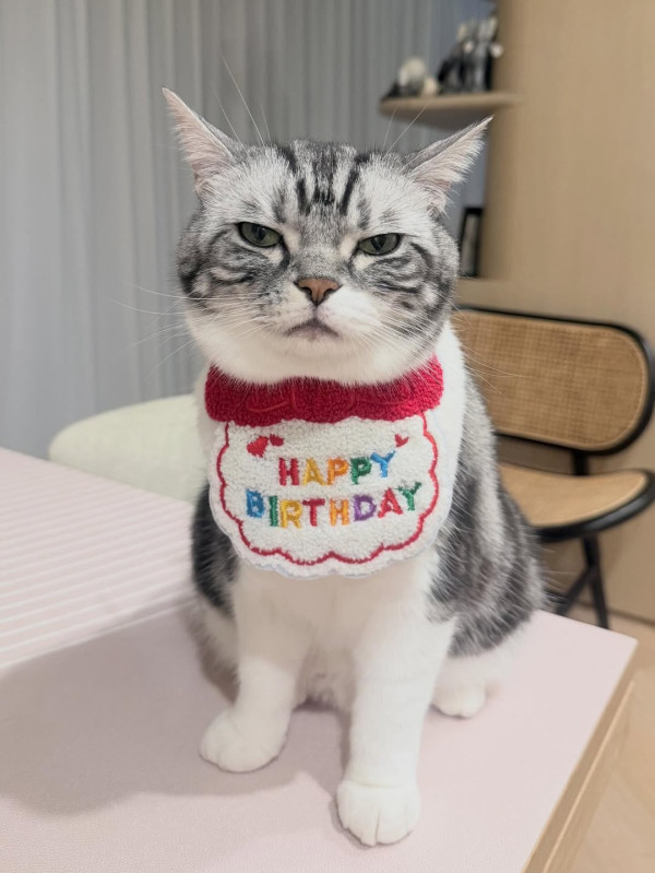 蔡卓妍阿Sa大仔大女生日IG貼全家福慶生 驚爆已為人母真正身份嚇窒網民