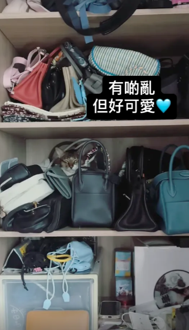 吳若希愛馬仕手袋珍藏亂咁塞超霸氣 曾豪使30萬買VIP限量款「藍盒子」