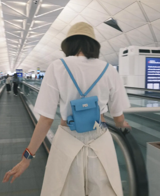 吳若希愛馬仕手袋珍藏亂咁塞超霸氣 曾豪使30萬買VIP限量款「藍盒子」