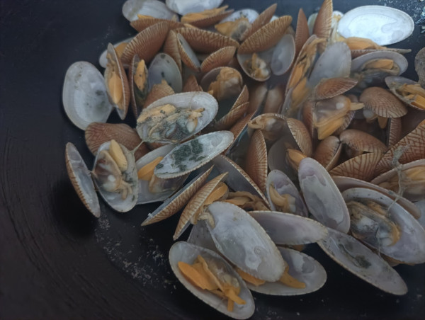 魚販教花甲吐沙用Wasabi 網民實測宣告失敗／教2招快速乾淨吐沙