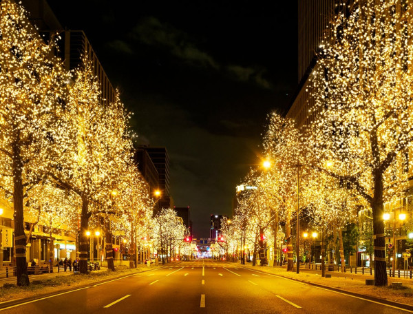 大阪・光の饗宴2025(圖片: hikari-kyoen.com)