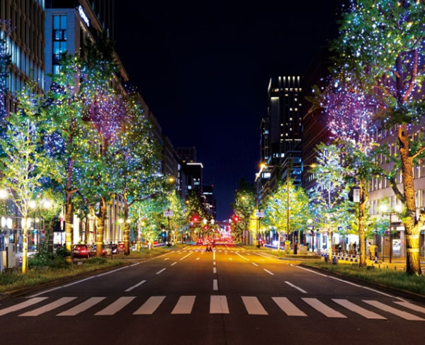 大阪・光の饗宴2025(圖片: hikari-kyoen.com)