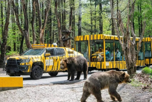 照片來源：KKday