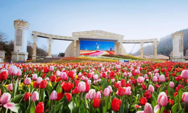 照片來源：KKday