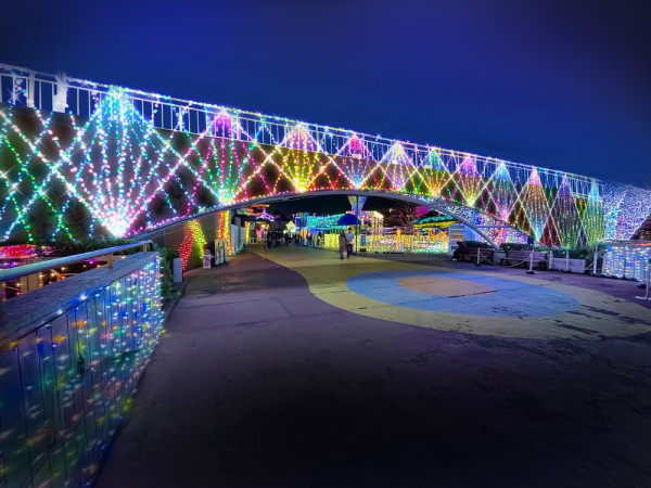 東京最大規模！讀賣樂園「寶石燈飾秀2025」聖誕必去 逾百日夢幻點燈橫跨冬春 