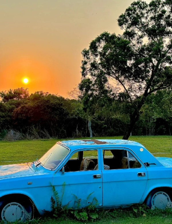 圖片來源：小紅書