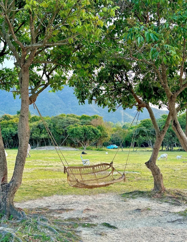 圖片來源：小紅書