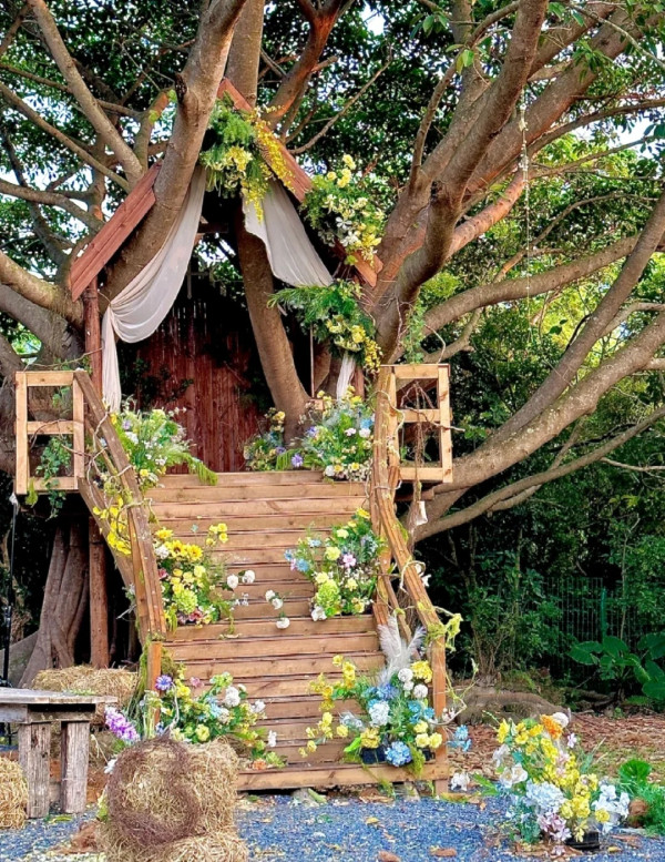 圖片來源：小紅書