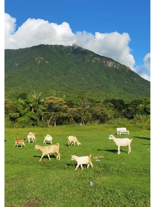 圖片來源：小紅書