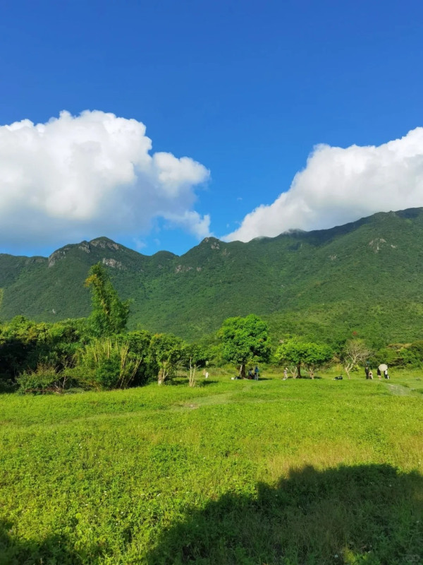 圖片來源：小紅書