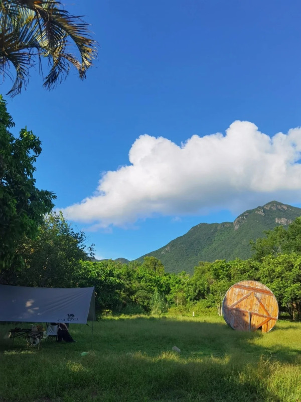 圖片來源：小紅書