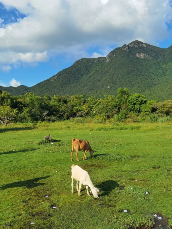 圖片來源：小紅書