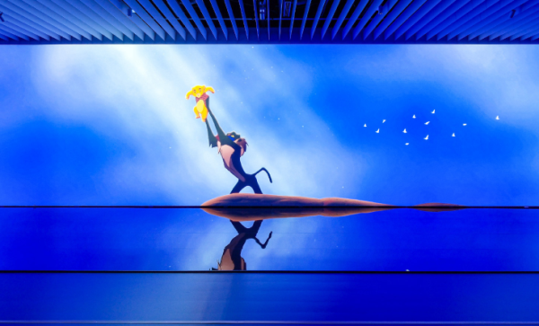 照片來源：網上圖片