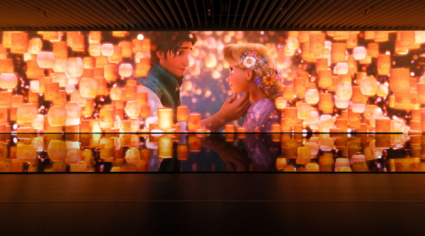 照片來源：網上圖片