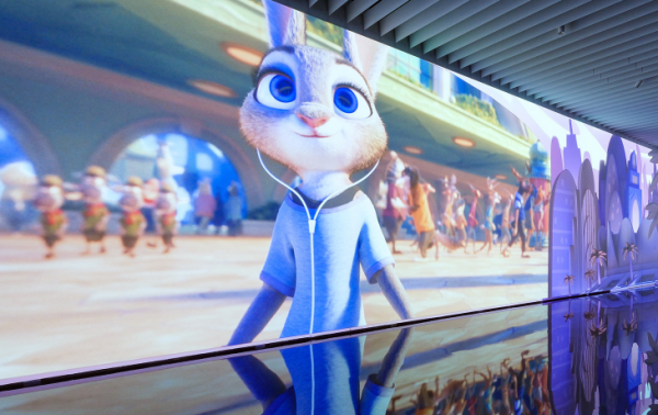 照片來源：網上圖片