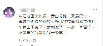 香港15號巴士被封「最驚險過山車」膽小勿坐？山頂乘客狂喊：差點被飛出窗外