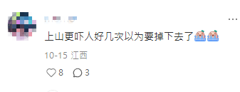 香港15號巴士被封「最驚險過山車」膽小勿坐？山頂乘客狂喊：差點被飛出窗外