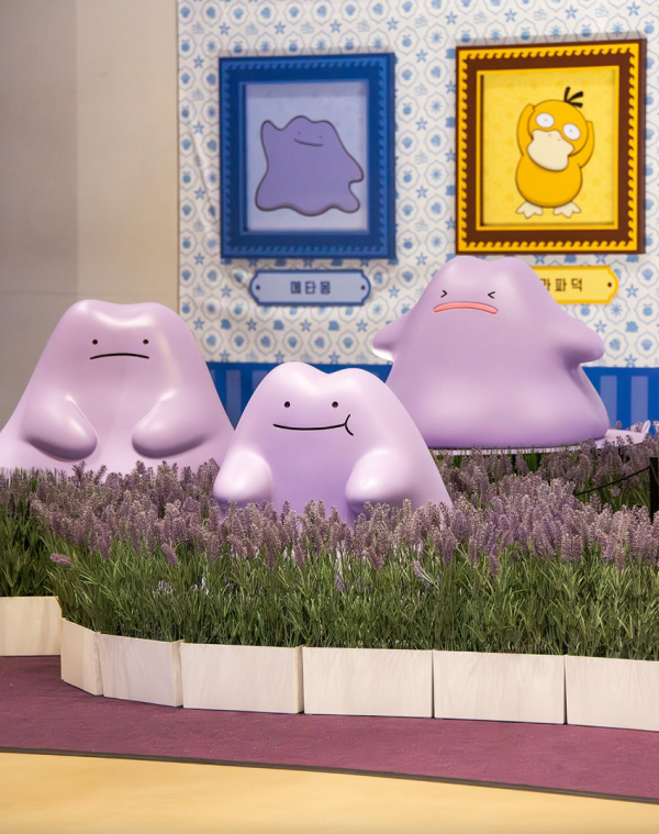 照片來源:官方網站 照片來源:官方網站