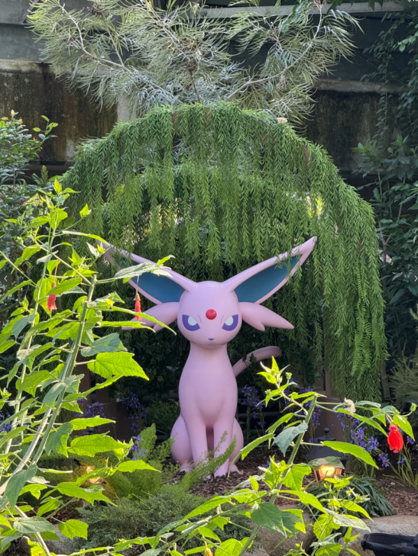 照片來源:小紅書 照片來源:小紅書