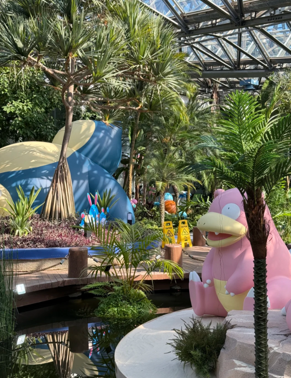 照片來源:小紅書 照片來源:小紅書