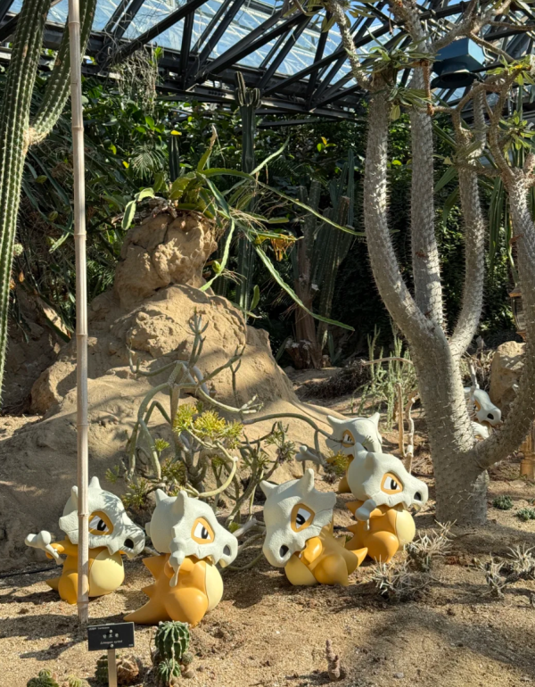 照片來源:小紅書 照片來源:小紅書