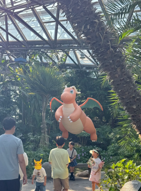 照片來源:小紅書 照片來源:小紅書