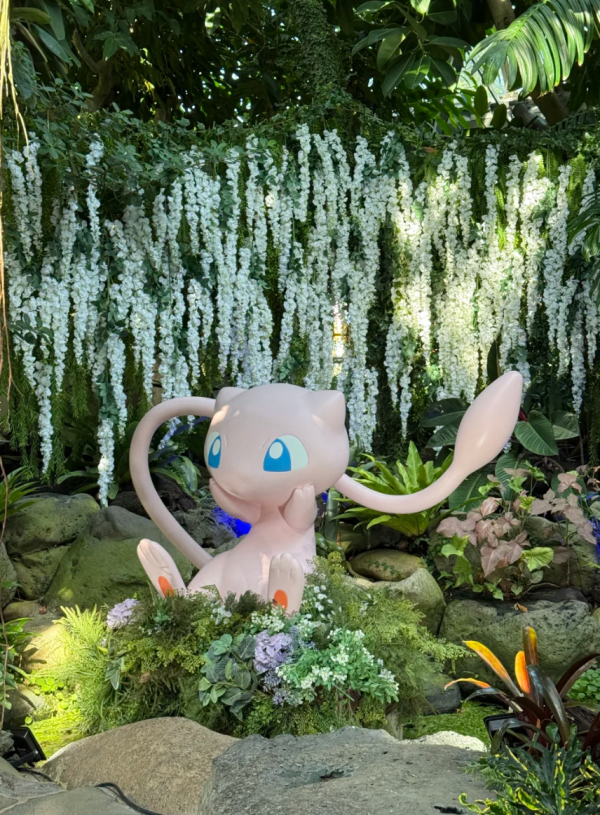 照片來源:小紅書 照片來源:小紅書