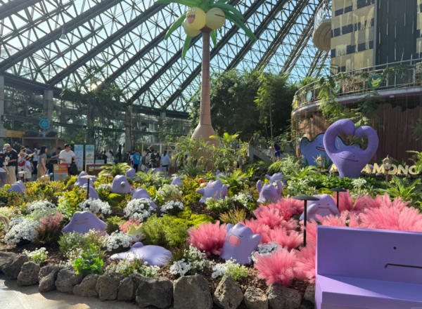 照片來源:小紅書 照片來源:小紅書