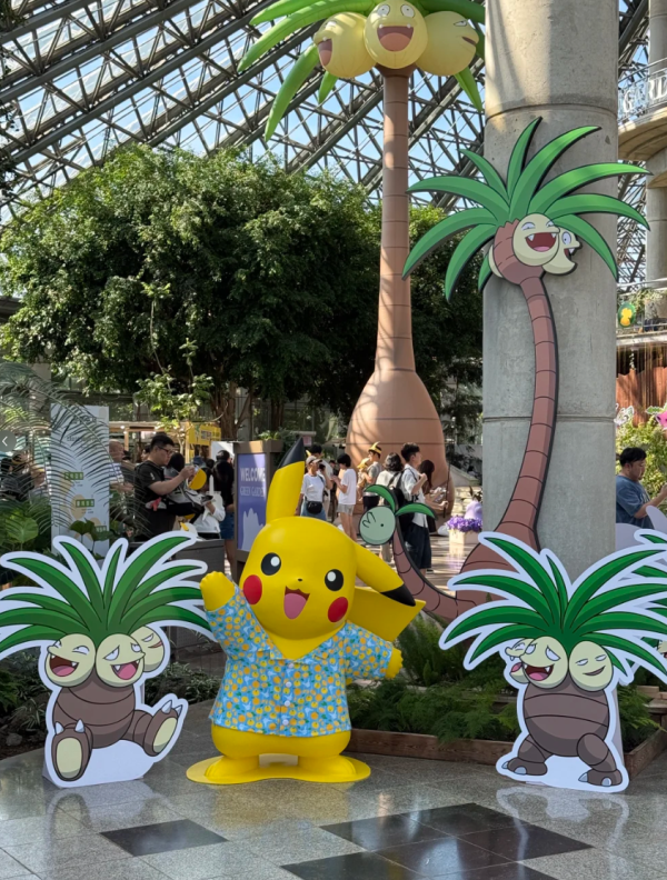 照片來源:小紅書 照片來源:小紅書