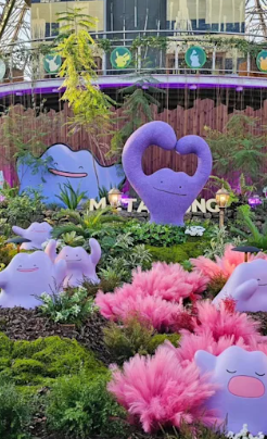 照片來源:IG@heebihobby 照片來源:IG@heebihobby