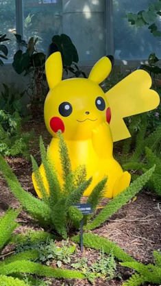 照片來源:IG@heebihobby 照片來源:IG@heebihobby