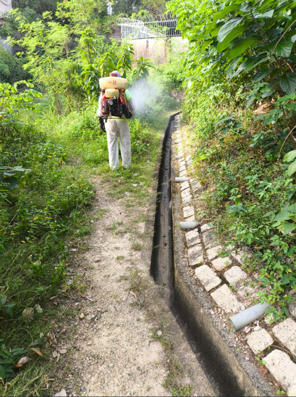 基孔肯雅熱|黃大仙現首宗本地個案!病徵、治理及預防方法一覽!6類人惹蚊點揀防蚊產品?