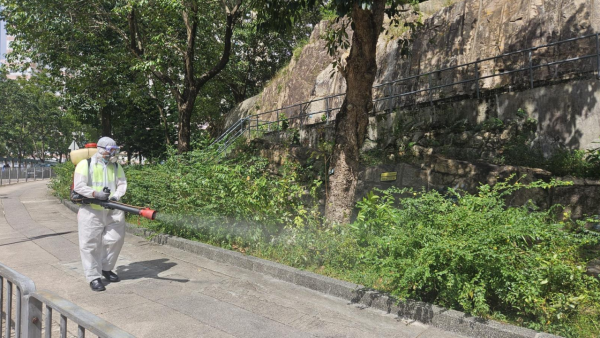 基孔肯雅熱|黃大仙現首宗本地個案!病徵、治理及預防方法一覽!6類人惹蚊點揀防蚊產品?