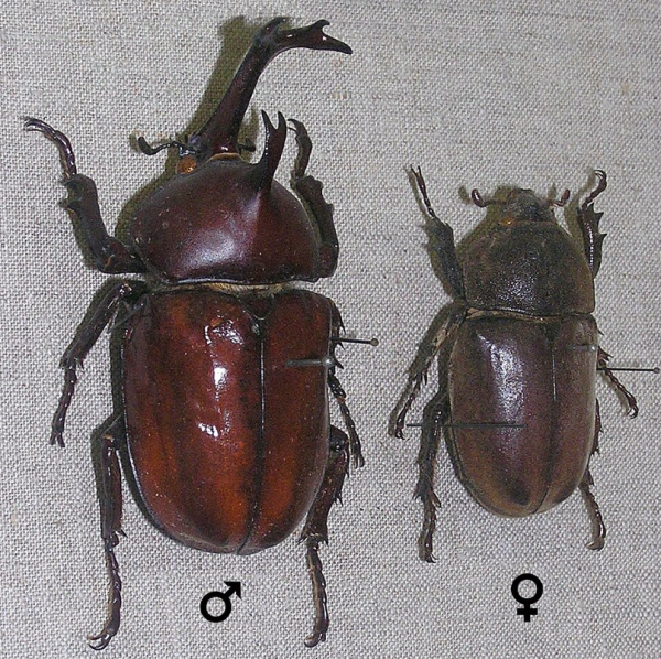 照片來源：網上圖片 