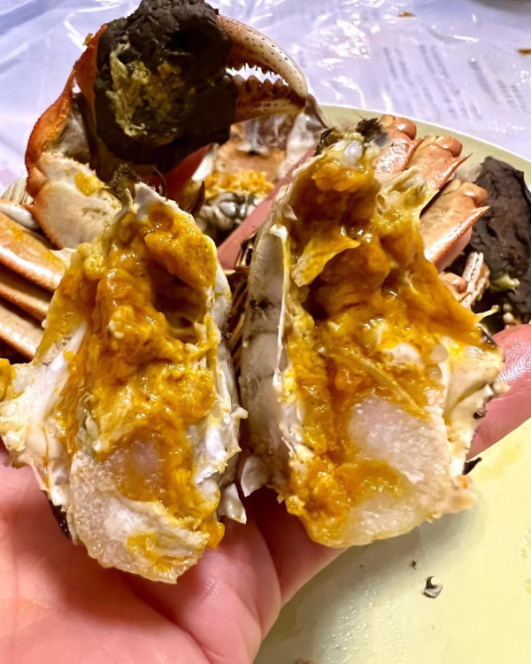 食神韜韜推介大閘蟹 限時優惠$11隻!爆膏江蘇蟹乸蟹公$99三隻+包大閘蟹紫蘇葉