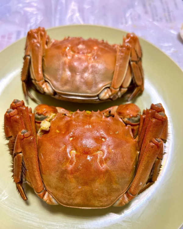 大閘蟹優惠