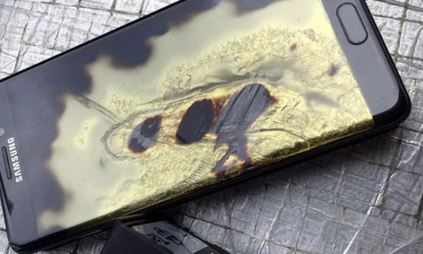 照片來源：網上圖片 