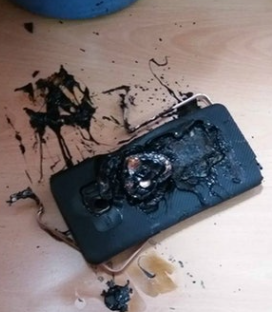 照片來源：網上圖片 