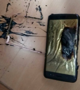 照片來源：網上圖片 